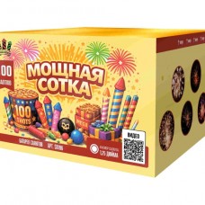 SB196 Сибирь Мощная сотка 100*1,25 1/1 