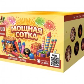 SB196 Сибирь Мощная сотка 100*1,25 1/1 