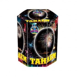 FP-B339 Фаворит Тандем 19*1,2 6/1 